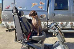 rsz_1allen_peterson_vita_monster1-v2